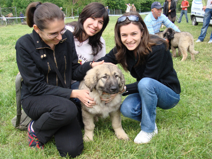 cri 2008 2 - Craiova 10-05-2008