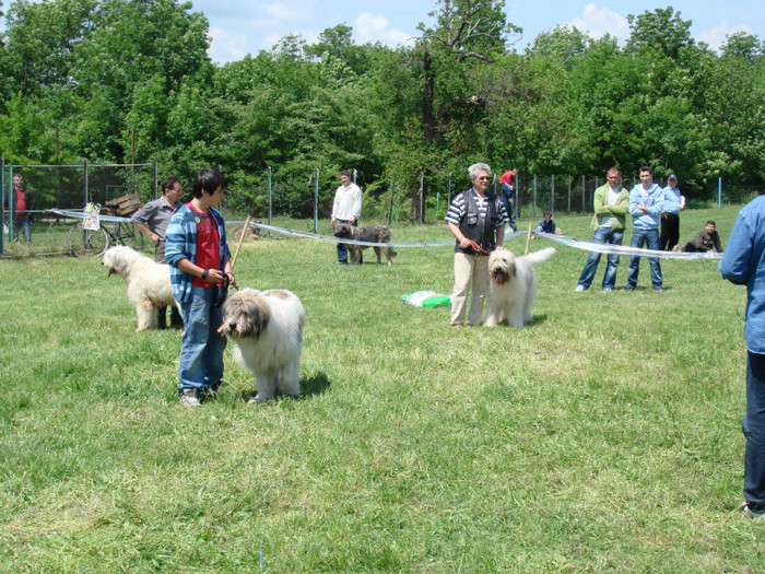 crv 2008 9 - Craiova 10-05-2008