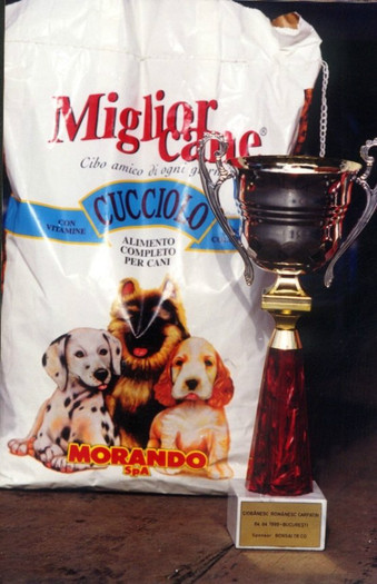 premiu floreasca 1999
