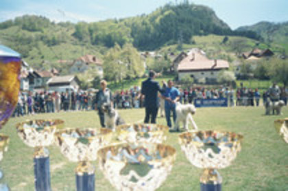 Premiile Rucar 2004