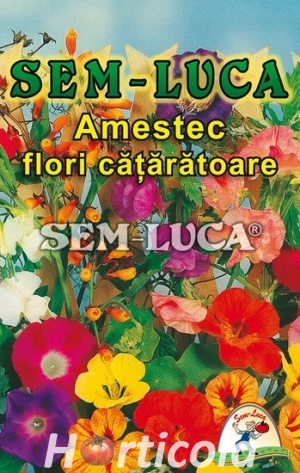 flori cataratoare - flori