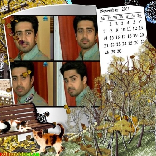 cc8d - xxAvinash Sachdev-Devxx