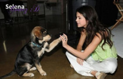 52206748_TEOQXHY2 - Selena Gomez 3
