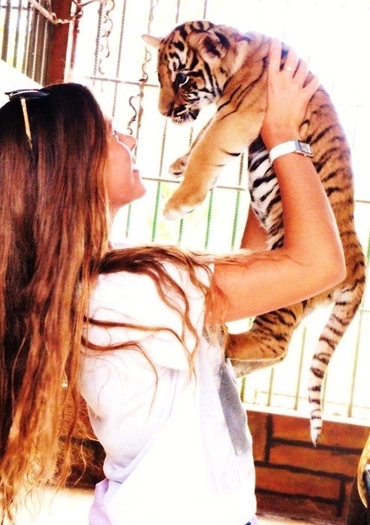 647d5d9d9e1c09ef2ff9597c8de8ecc6_large 647d5d9d9e1c09ef2ff9597c8de8ecc6_large