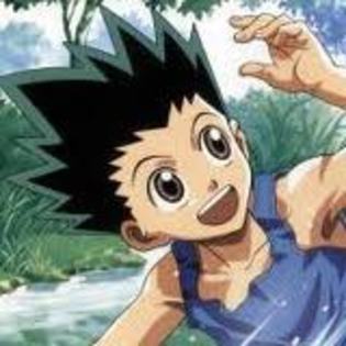 gon 1 - GON