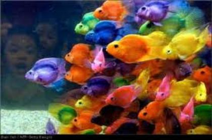 images (39)