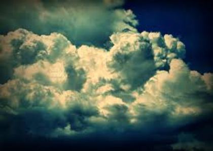 images (43)