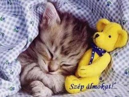 images (48)
