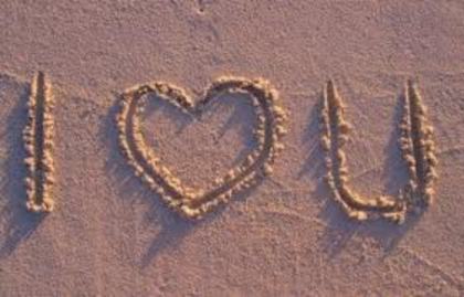 images (53)