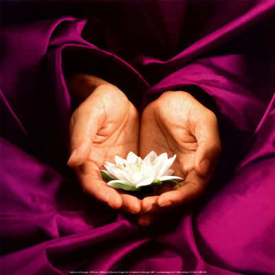 Namaste in Love [16]