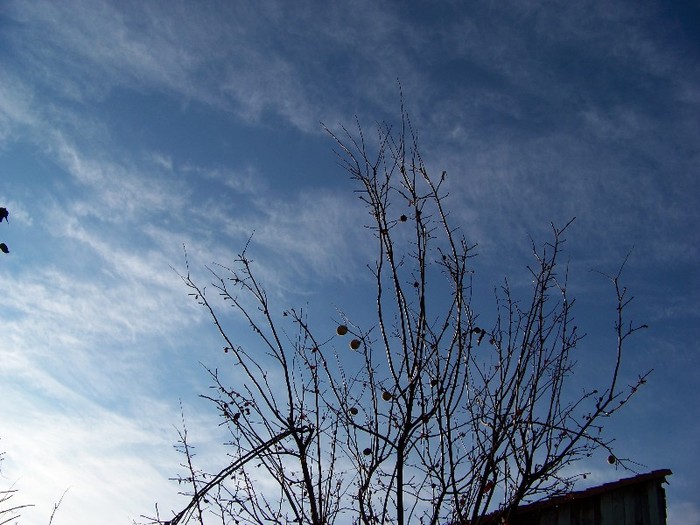 100_3629 - Iarna 2011  2012
