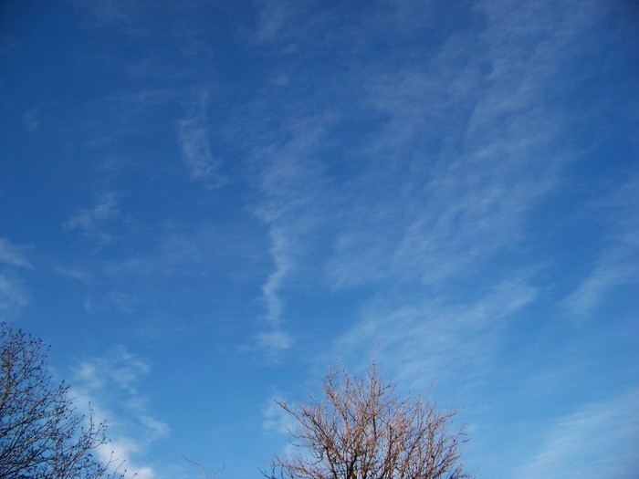 100_3656 - Iarna 2011  2012