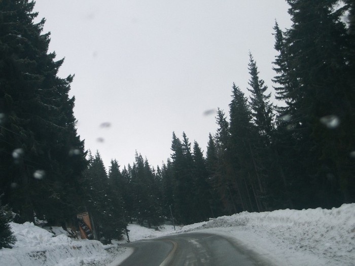 poze 742 - Ranca iarna-Transalpina