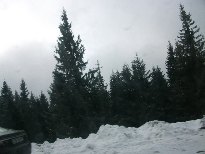poze 736 - Ranca iarna-Transalpina