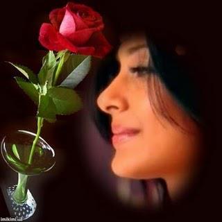 409485_253248528076277_202202776514186_614148_65606378_n