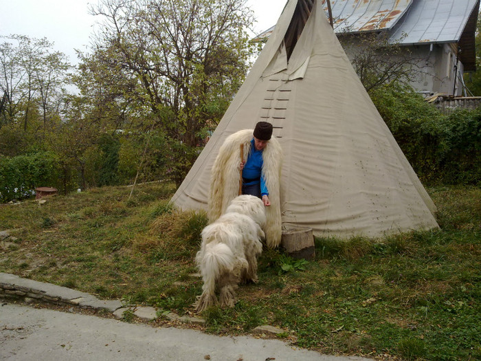 vizita 6 - Personalitati care au caini provenind din Canisa de Romania