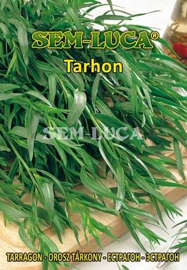 Tarhon - plante aromatice