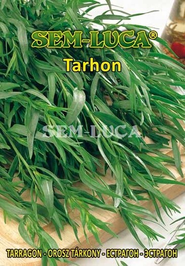 Tarhon