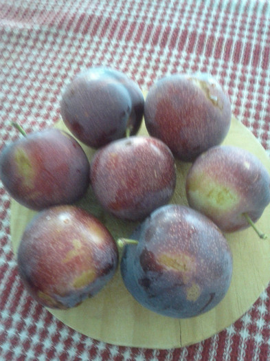 6.01.12 am cules prunele...:))