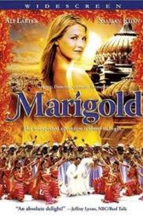 images - Marigold - O aventura in India