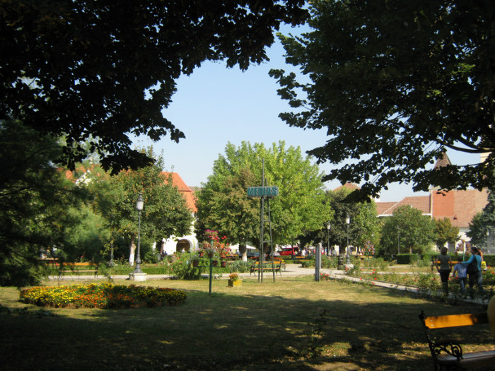 Medias - parc central - Mediaș și Cluj