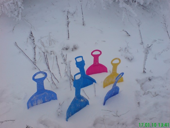 DSC03522 - Iarna
