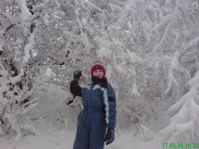 DSC03530 - Iarna