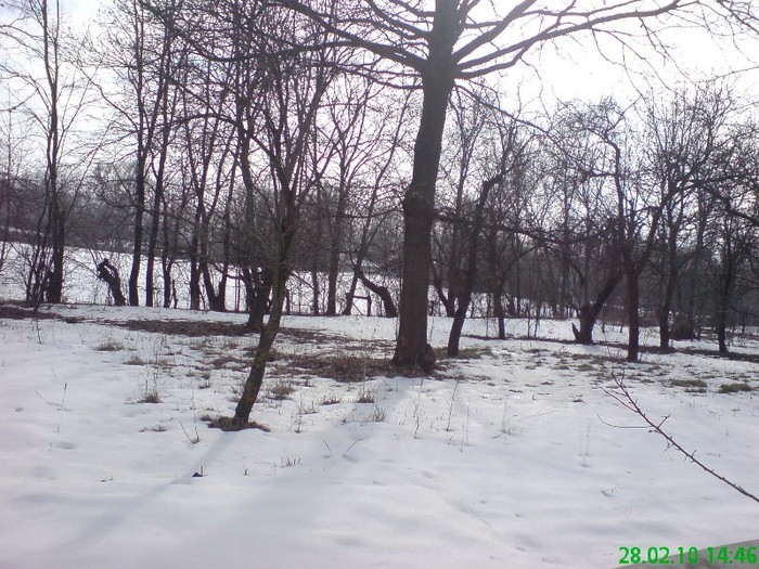 DSC03577 - Iarna