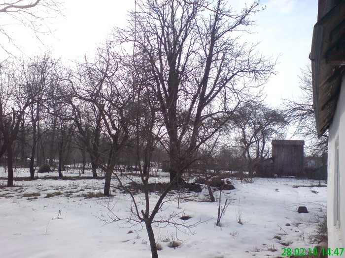 DSC03578 - Iarna