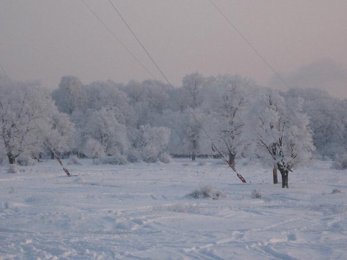 dec 2008 068 - Iarna