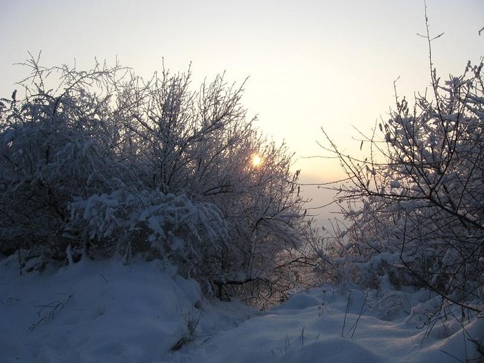 IMG_1410 - Iarna