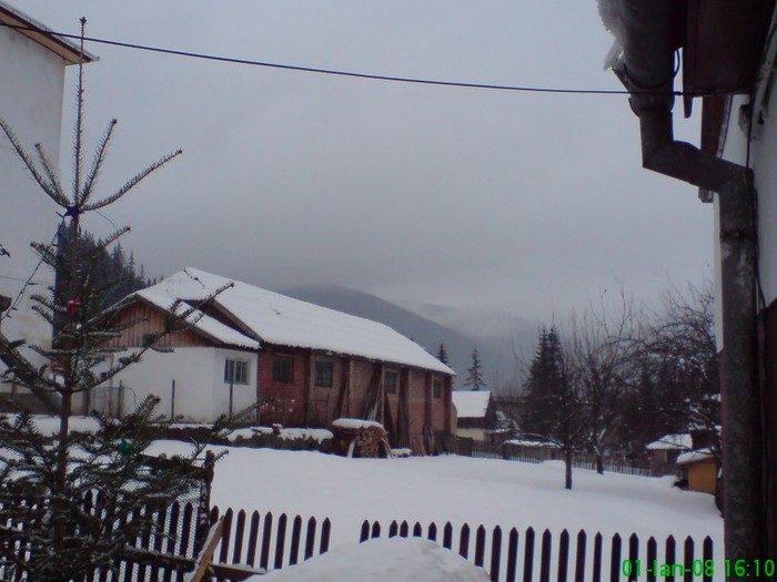 DSC00486