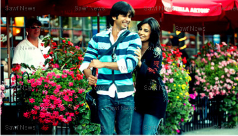 Shahid Kapoor and Vidya