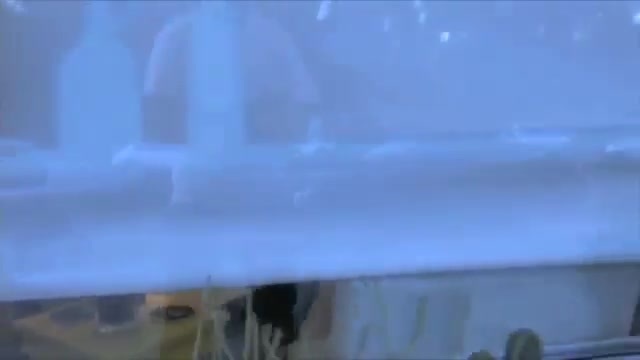 Demi Lovato ( paparazzi ) 130