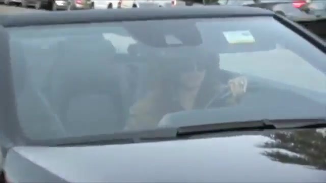Demi Lovato ( paparazzi ) 483