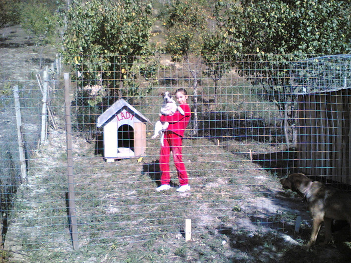 lady si bella; nu era deloc grea
