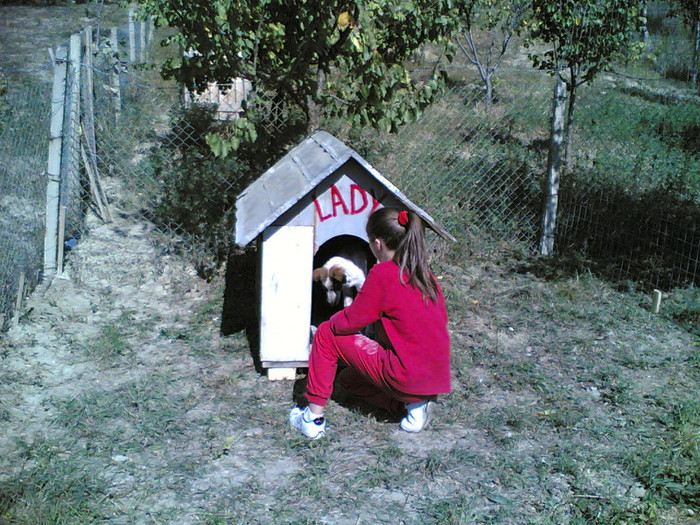 lady in cusca - LADY SI PRIETENII