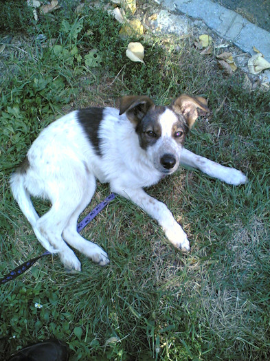 ladyutza 2; ce somnoroasa
