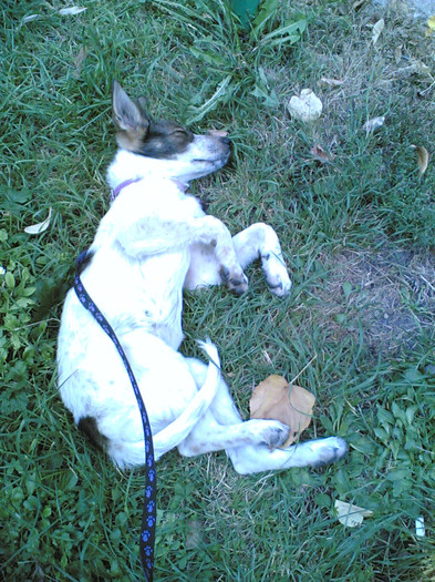 ladyutza 3 - LADY SI PRIETENII