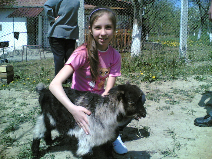 ioana si matilda; ce caprita mica
