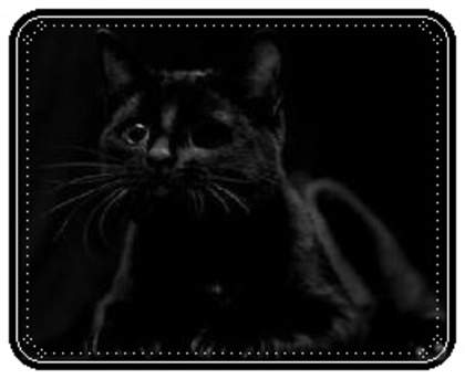 images (7) - Pisici negre