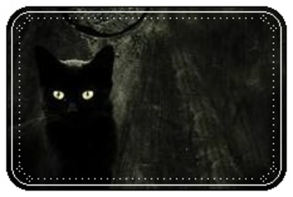 images (8) - Pisici negre