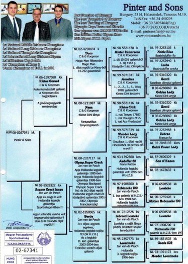 HU 2008-02-67341 F Pinter & Sons - Pedigree