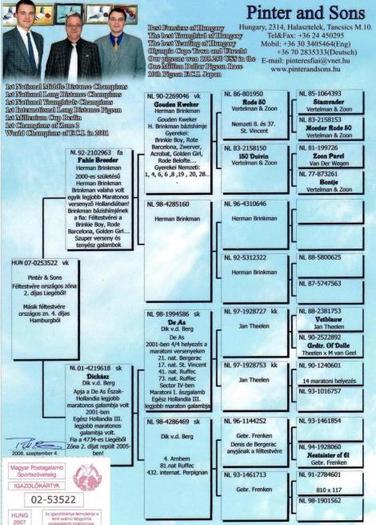 HU 2007-02-53522 F Pinter & Sons - Pedigree