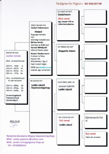 RO 2009-504197 Jankó István - Pedigree