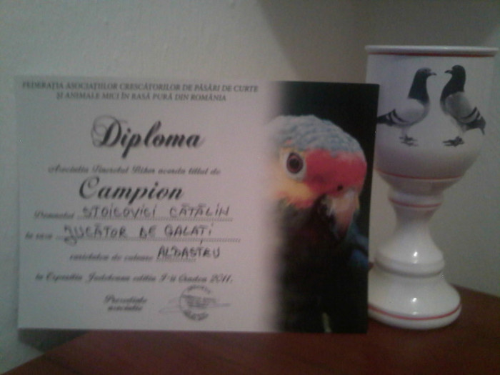 02.12.2011 Expo Sanmartin - TROFEE SI CAMPIONI