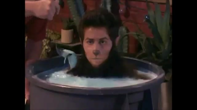 BewareWolf~~ 132 - Episode Beware Wolf