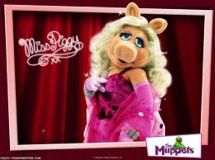 misspiggy