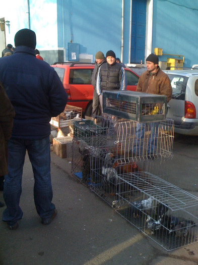 Tirnaveni 01-08-2012