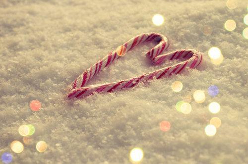 409020_334205696591832_219127678099635_1428995_499171262_n